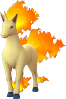 rapidash Pokemon Go