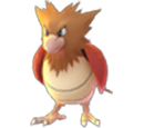 spearow Pokemon Go