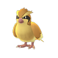 pidgey-pokemon-go