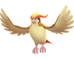 pidgeot-pokemon-go