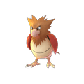 spearow-pokemon-go