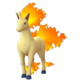rapidash-pokemon-go