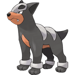 houndour-pokemon-go